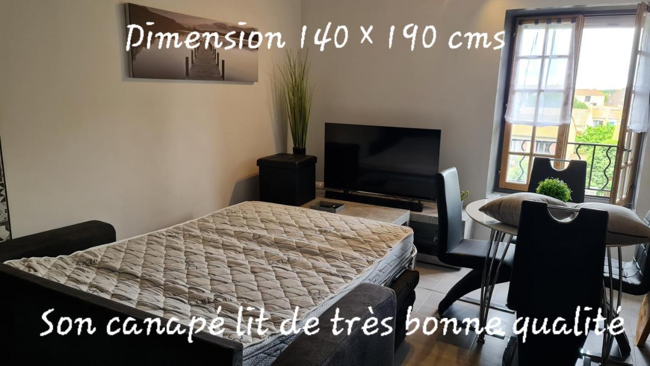 Apartment Le Cocon De La République: Tranquil Mezzanine With Southern Views Agde
